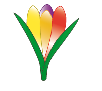 germangyogytudomany.com